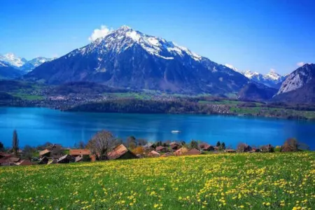 48388 153882 M2jxwF8f9ZbeGfkrjLGWSR7lEZxo6 KLmW8aFSX7W1o 642323abccc92.jpg
