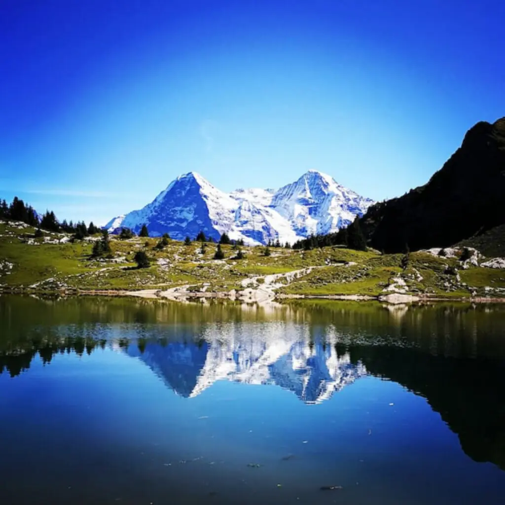 48388 337531 hqlEHzobu1hAsgKtExLN5Q2BNc47rBG5zuXBjz1rIu0 6751ca711c7fe.jpg