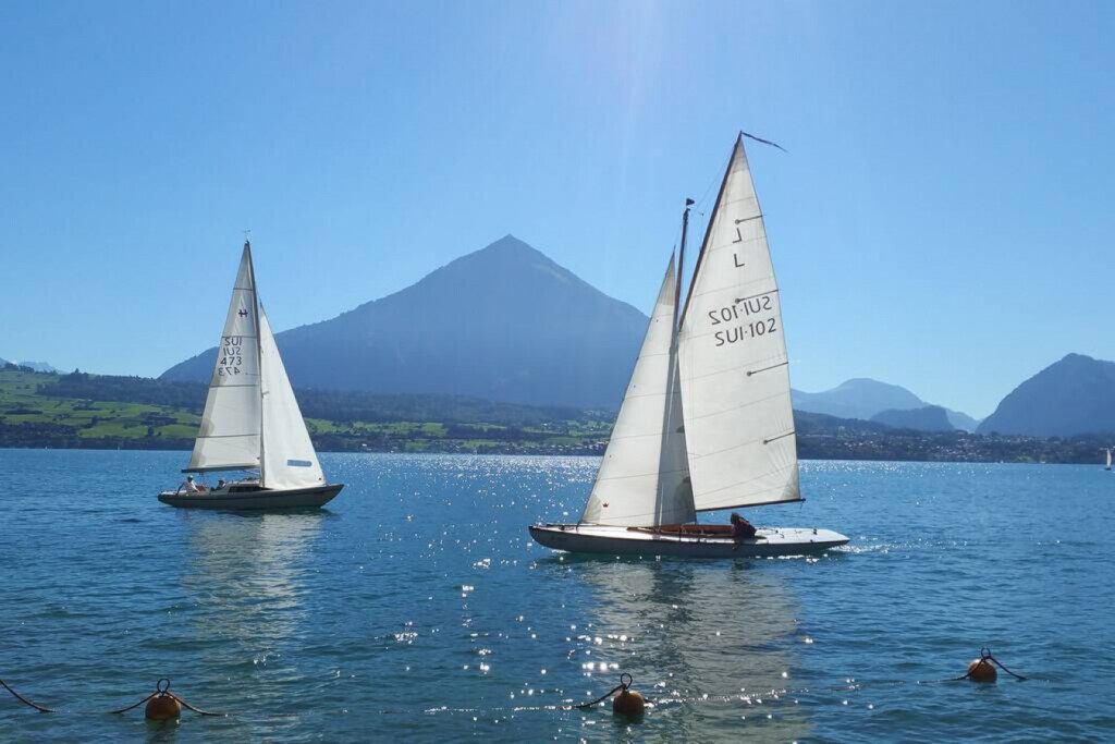 48388 139870 ieJ Oq7fdFu1a7H6tKb7zC0MzVqMzl2vB e wwTceDM 63b6aed70643e.jpg